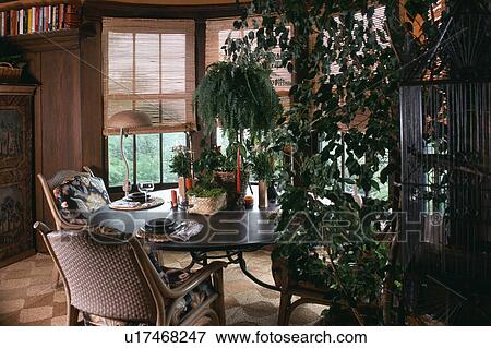 houseplants, interior, settings, dining rooms, interiors View Large Photo Image Stock Photo - houseplants, interior, settings, dining rooms, interiors. Fotosearch