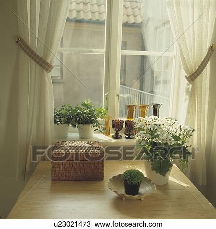 Stock Image - Houseplants on table in front of window with white curtains. Fotosearch