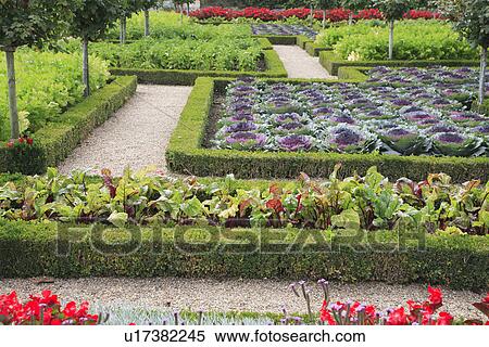 Stock Photography - hr 684, beds, formal, gardens. Fotosearch
