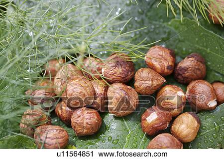 Stock Image - hr 871, green, nuts, food. Fotosearch