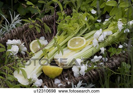 hr 871, green, yellow, vegetable, food View Large Photo Image Stock Photo - hr 871, green, yellow, vegetable, food. Fotosearch