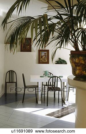Stock Photo - Indoor palm in pot in white eighties dining room with white table and black chairs on white floor tiles. Fotosearch