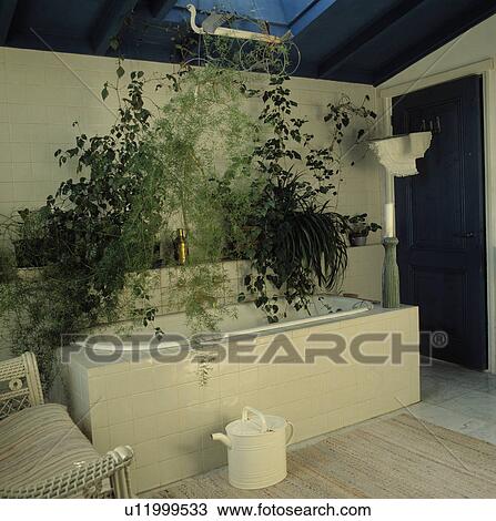 interior, houseplants, hr 674, interiors View Large Photo Image Stock Image - interior, houseplants, hr 674, interiors. Fotosearch
