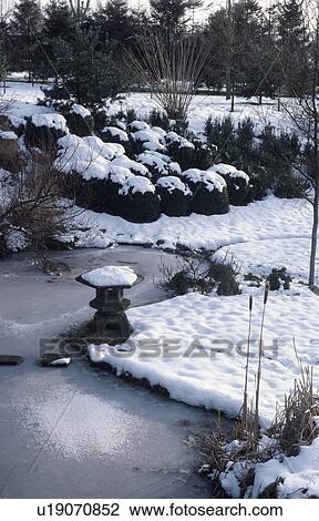 Japanese stone lantern on the banks of frozen pond in snowy winter garden View Large Photo Image Stock Image - Japanese stone lantern on the banks of frozen pond in snowy winter garden. Fotosearch