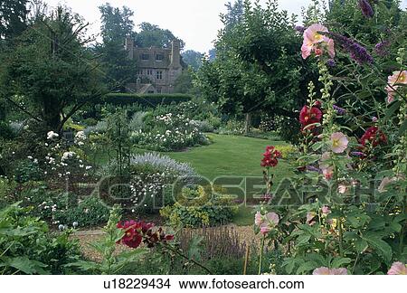 Picture - Lawn and herbaceous border in large country garden in summer. Fotosearch