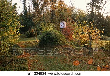 Picture - Lawn and trees in country garden in Autumn. Fotosearch