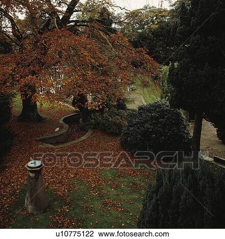 Stock Image - Lawn and trees in country garden in Autumn. Fotosearch