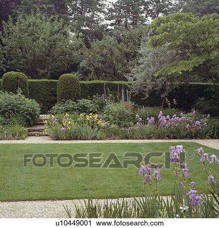 Lawn in summer country garden View Large Photo Image Stock Image - Lawn in summer country garden. Fotosearch