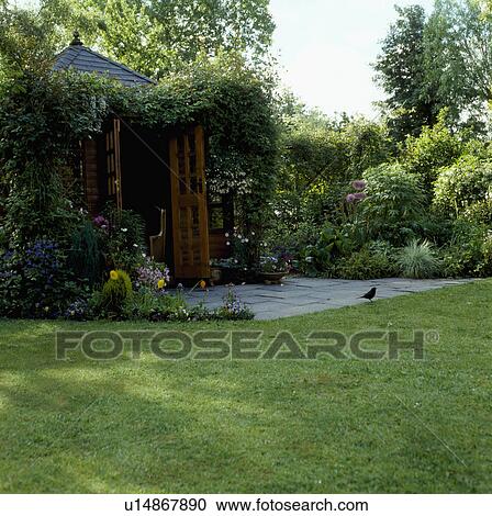Lawn in summer country garden View Large Photo Image Stock Image - Lawn in summer country garden. Fotosearch