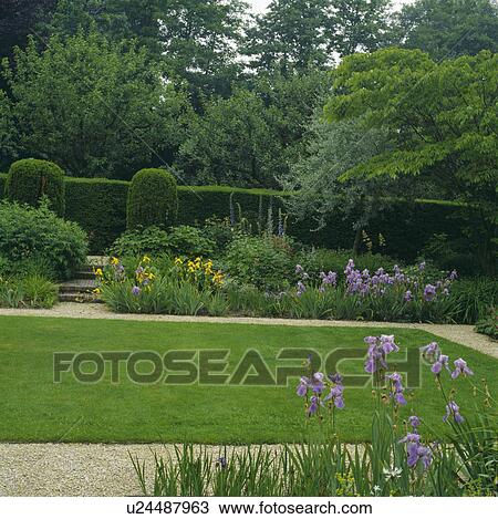 Lawn in summer country garden View Large Photo Image Stock Image - Lawn in summer country garden. Fotosearch