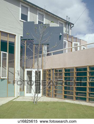 Stock Photography - Leafless tree in lawn in front of modern architectural house with ladderframe windows. Fotosearch