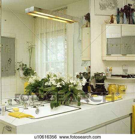 Lighted mirror above double basins in vanity unit with white flowering houseplant View Large Photo Image Stock Photograph - Lighted mirror above double basins in vanity unit with white flowering houseplant. Fotosearch