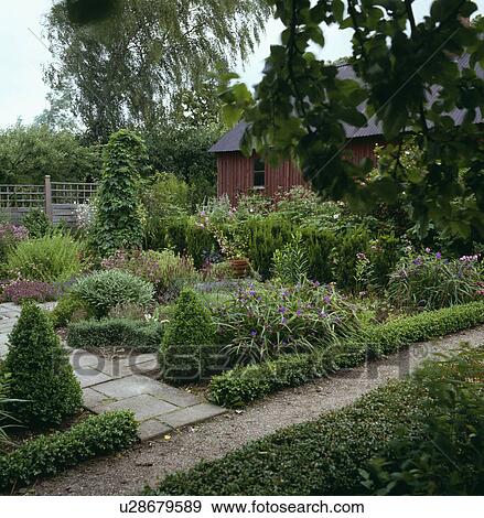 Low box hedging and clipped shrubs in small formal country garden View Large Photo Image Stock Photo - Low box hedging and clipped shrubs in small formal country garden. Fotosearch