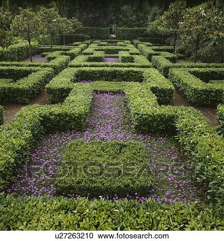 Low clipped hedges in formal country knot garden in summer View Large Photo Image Stock Image - Low clipped hedges in formal country knot garden in summer. Fotosearch