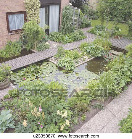 Stock Image - Lush plants around pond in country garden in summer. Fotosearch