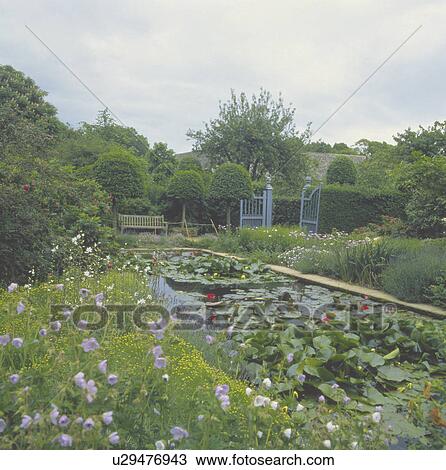 Lush plants around pond in country garden in summer View Large Photo Image Stock Image - Lush plants around pond in country garden in summer. Fotosearch