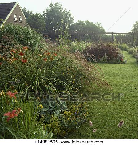 Stock Photography -  Lushly planted border with day lilies and grasses in early morning mist.. Fotosearch