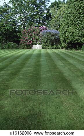 Mown stripes on lawn in large country garden in Spring View Large Photo Image Stock Photo - Mown stripes on lawn in large country garden in Spring. Fotosearch