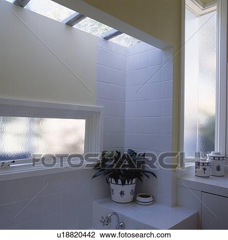 Narrow opaque glass window and houseplant on toilet in modern white bathroom extension View Large Photo Image Stock Image - Narrow opaque glass window and houseplant on toilet in modern white bathroom extension. Fotosearch