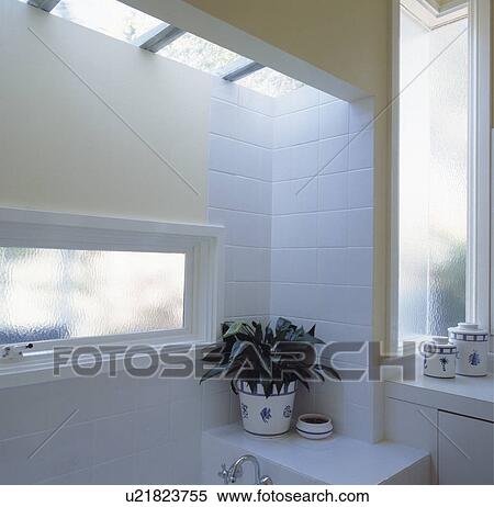 Stock Photography - Narrow opaque glass window and houseplant on toilet in modern white bathroom extension. Fotosearch