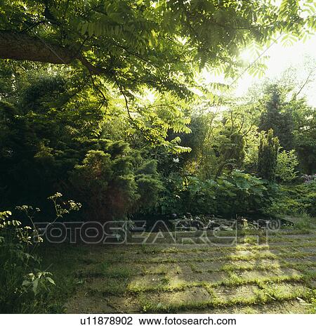 Stock Image -  Narrow rectangular ponds in summer garden. Fotosearch