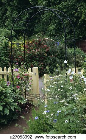 Nigella against cream fence with metal arch in large country garden in summer View Large Photo Image Stock Image - Nigella against cream fence with metal arch in large country garden in summer. Fotosearch