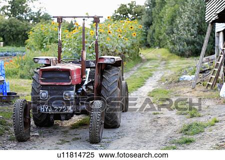 Old red tractor on farm track View Large Photo Image Stock Photography - Old red tractor on farm track. Fotosearch