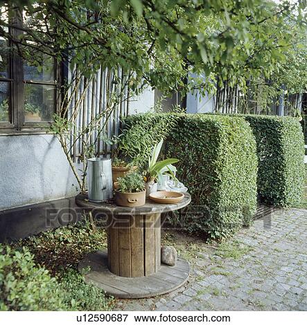 Old wooden table and clipped shrubs in country garden View Large Photo Image Stock Photo - Old wooden table and clipped shrubs in country garden. Fotosearch
