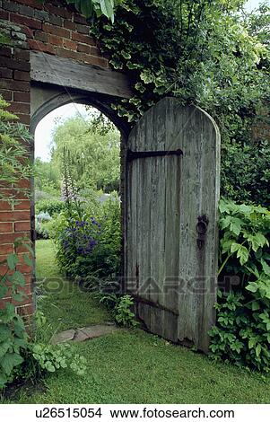 Picture - Open wooden door in walled garden with grass path. Fotosearch