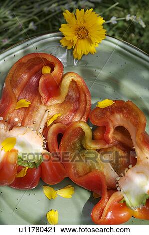 orange, hr 871, outside, still-life, fruit, yellow, food View Large Photo Image Stock Image - orange, hr 871, outside, still-life, fruit, yellow, food. Fotosearch
