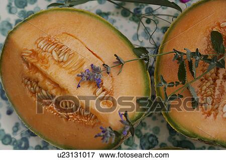 orange, outside, still-life, fruit, food View Large Photo Image Stock Photo - orange, outside, still-life, fruit, food. Fotosearch