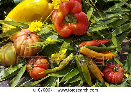 Stock Image - orange, outside, still-life, fruit, yellow, food. Fotosearch