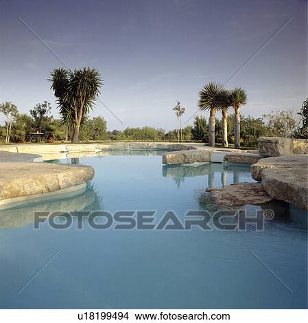 Picture - Palm trees beside large curved swimming pool. Fotosearch