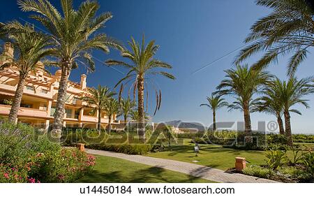 Palm trees beside path to modern apartment building in southern Spain View Large Photo Image Picture - Palm trees beside path to modern apartment building in southern Spain. Fotosearch