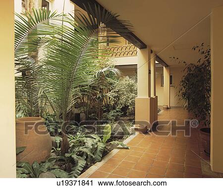Stock Image - Palm trees in pots on courtyard of Spanish villa. Fotosearch