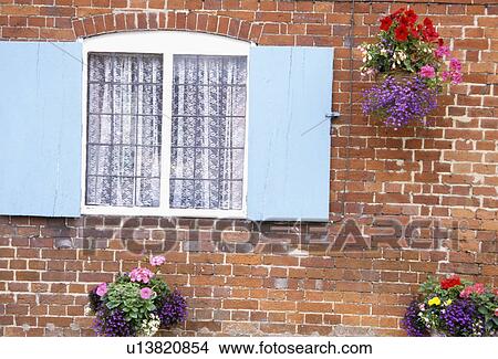 Picture - Pastel blue shutters on cottage window with flowering plants in hanging baskets. Fotosearch
