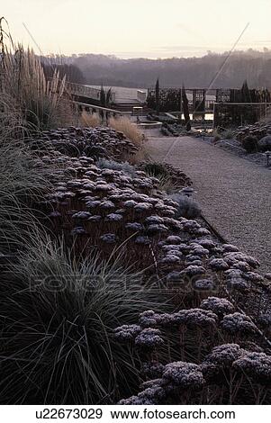 Stock Photo - Path and borders with frosted plants in country garden in winter. Fotosearch
