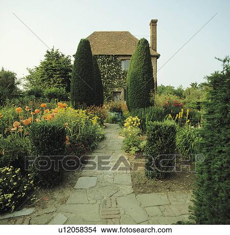 Paved path and clipped yew trees in colourful country garden in summer View Large Photo Image Picture - Paved path and clipped yew trees in colourful country garden in summer. Fotosearch