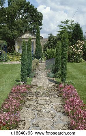 Paved path and cylindrical yew trees in country garden View Large Photo Image Stock Image - Paved path and cylindrical yew trees in country garden. Fotosearch
