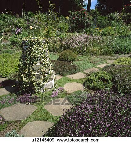 Stock Photo - Paved path and ivy climbing up stone cairn in country herb garden. Fotosearch