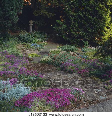 Stock Image - Paved path in alpine garden in large country garden in spring. Fotosearch