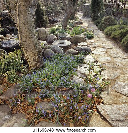 Stock Photo - Paved path in country garden. Fotosearch