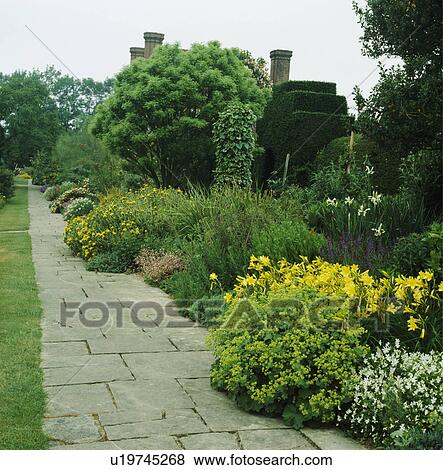 Paved path in large country garden with herbaceous borders in spring View Large Photo Image Stock Photo - Paved path in large country garden with herbaceous borders in spring. Fotosearch