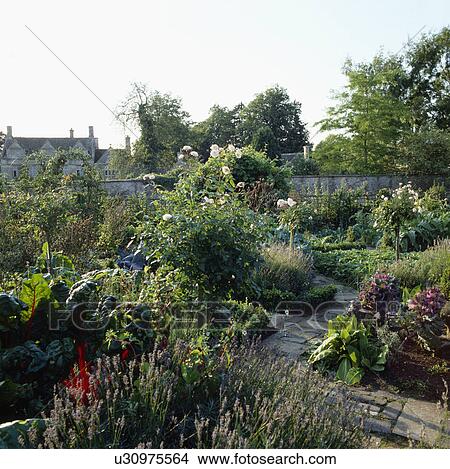 Paved path in large potager garden in summer View Large Photo Image Picture - Paved path in large potager garden in summer. Fotosearch