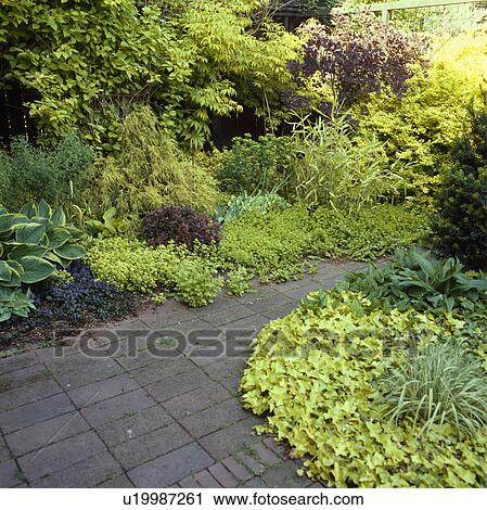 Stock Image - Paved path in through borders underplanted with ivy in country garden in summer. Fotosearch