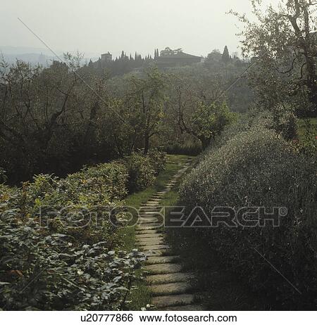 Paved path on hillside in large Italian country garden View Large Photo Image Stock Photograph - Paved path on hillside in large Italian country garden. Fotosearch