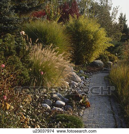 Picture - Paved path through borders in country garden in Autumn. Fotosearch