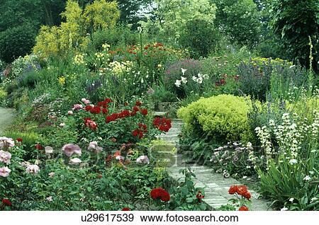 Paved path through colourful border with roses in country garden in summer View Large Photo Image Stock Photo - Paved path through colourful border with roses in country garden in summer. Fotosearch