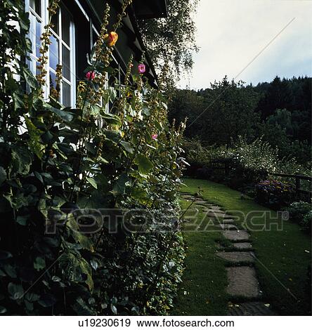 Paved path through grass beside country cottage View Large Photo Image Stock Photo - Paved path through grass beside country cottage. Fotosearch