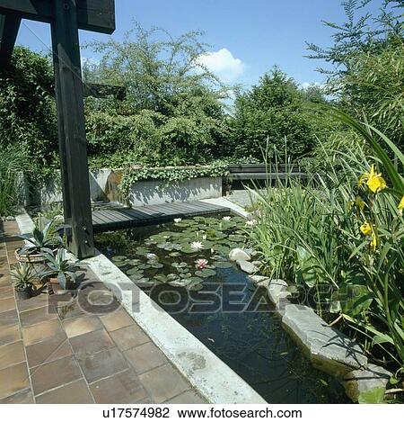 Paving and decking bridge over narrow pond with waterlilies in country garden View Large Photo Image Stock Image - Paving and decking bridge over narrow pond with waterlilies in country garden . Fotosearch